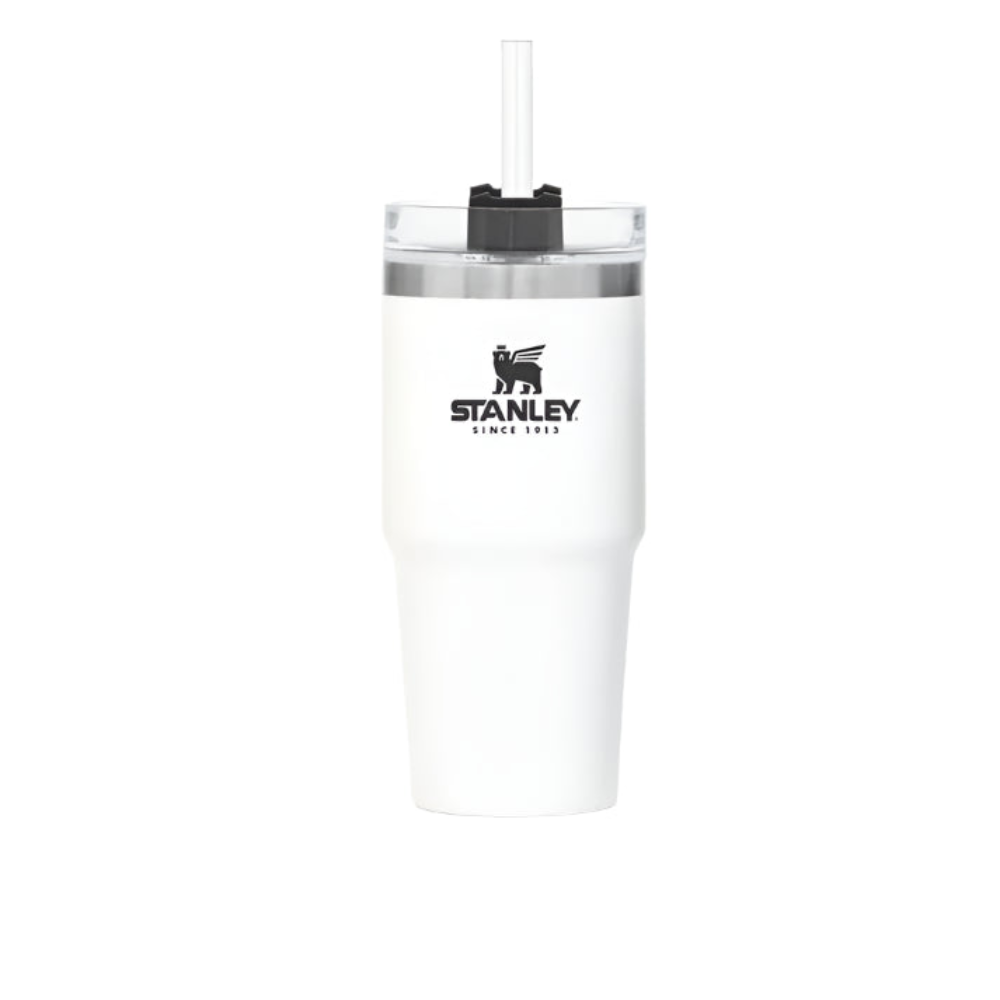 Stanley Quencher H2.0 FlowState Stainless Steel Travel Tumbler with Lid & Straw-Zenstoo - F.Z.E