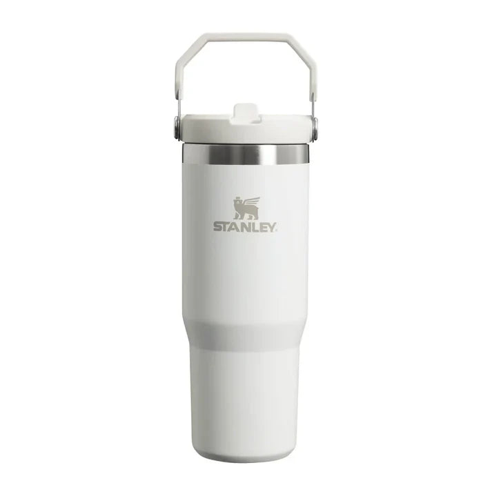 Stanley 30oz Stainless Steel Tumbler with Handle & Flip Straw – Cold Up to 12 Hours-Zenstoo - F.Z.E